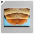 2-41_Insects-Unlocked-Project_canvas