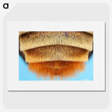 2-41_Insects-Unlocked-Project_picture