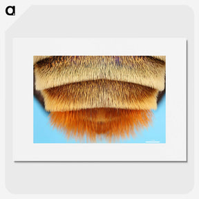 2-41_Insects-Unlocked-Project_picture
