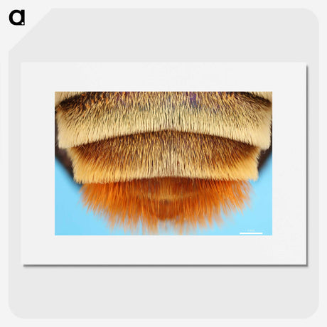 2-41_Insects-Unlocked-Project_picture