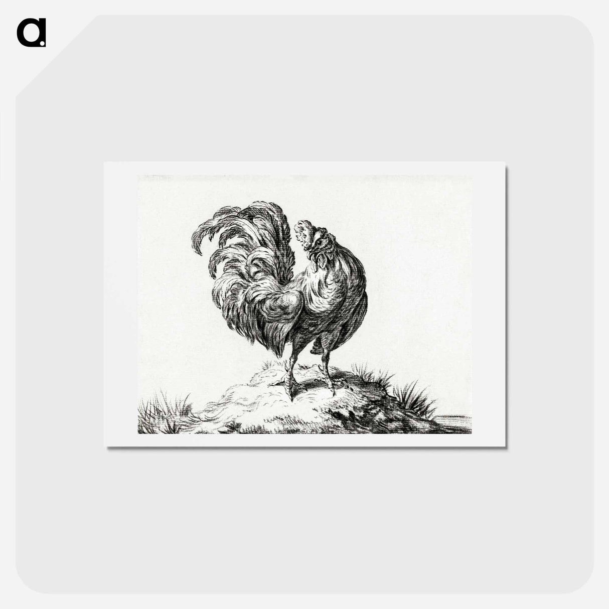 アートポストカード-Chicken, standing on a hill - ジャン ベルナール Postcard.