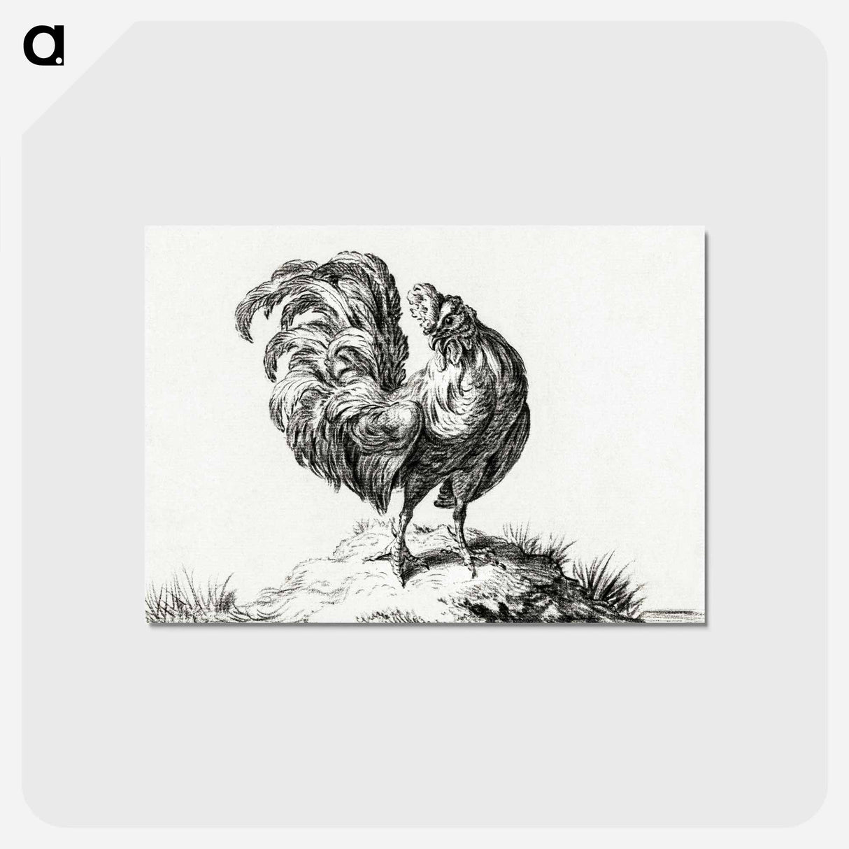 アートポストカード-Chicken, standing on a hill - ジャン ベルナール Postcard.