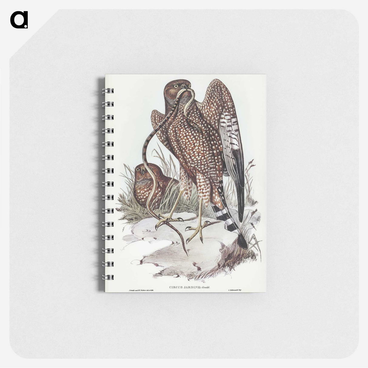 2-41_John-Gould_memo