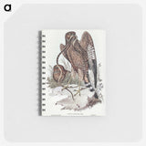 2-41_John-Gould_memo
