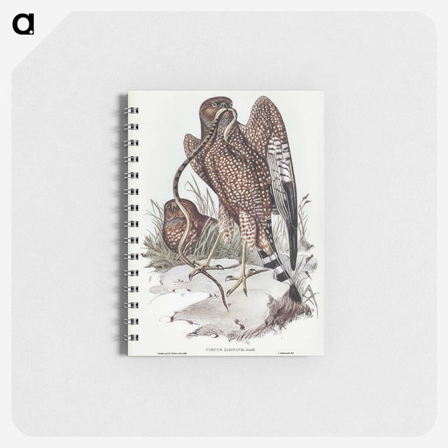 2-41_John-Gould_memo