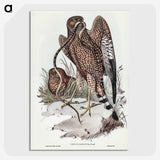 2-41_John-Gould_picture-crop