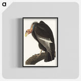 2-41_John-James-Audubon_blk-crop