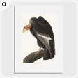 2-41_John-James-Audubon_picture