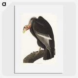 2-41_John-James-Audubon_picture