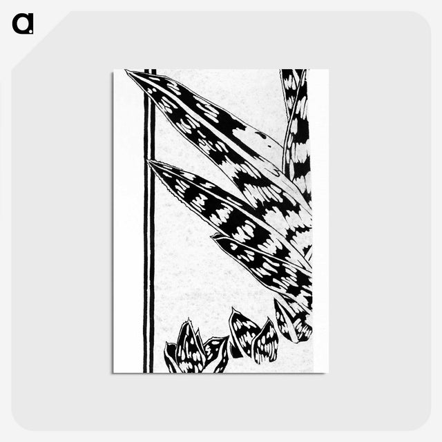 2-41_Julie-de-Graag_postcard