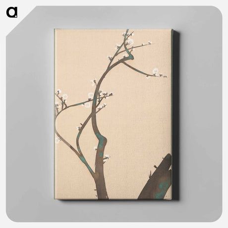 アートパネル-Plum Blossoms - 神坂 雪佳 Canvas.