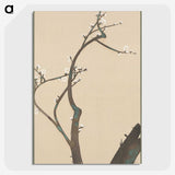 2-41_Kamisaka-Sekka_picture-crop
