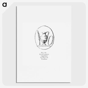 2-41_Les-Palmiers-Histoire-Iconographique_picture