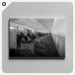 2-41_Leslie-Adkin_canvas
