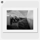 2-41_Leslie-Adkin_picture