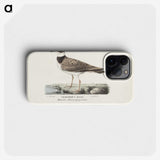 2-41_Magnus-von-Wright_phone