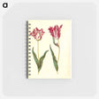 アートメモ帳-Tulipa gesneriana
 - マリア ジビーラ メーリアン Memo.