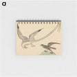 2-41_Mark-Catesby_memo
