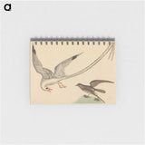 2-41_Mark-Catesby_memo