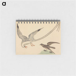 2-41_Mark-Catesby_memo