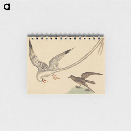 アートメモ帳-The Rice-bird
 - マーク ケイツビー Memo.