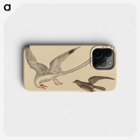 2-41_Mark-Catesby_phone