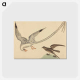 アートポストカード-The Rice-bird
 - マーク ケイツビー Postcard.