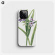 2-41_Mary-Vaux-Walcott_phone