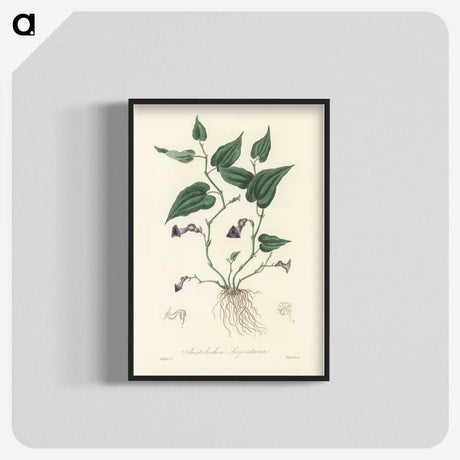 2-41_Medical-Botany_blk-crop