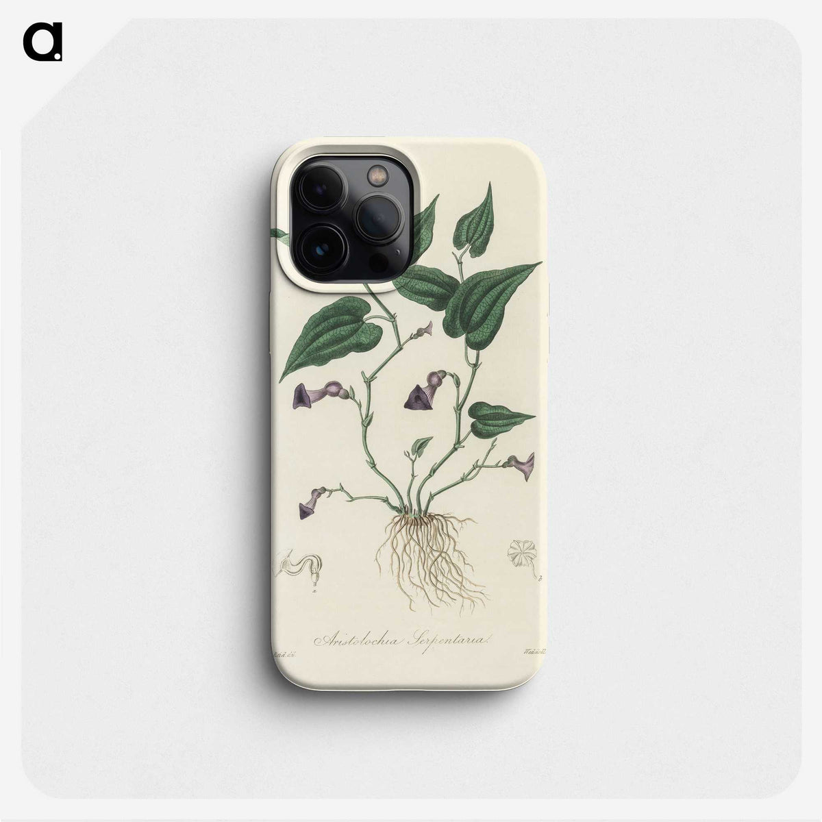 2-41_Medical-Botany_phone