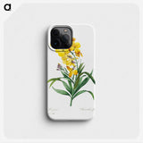 2-41_Pierre-Joseph-Redoute_phone