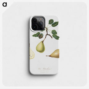 2-41_Pomona-Italiana_phone