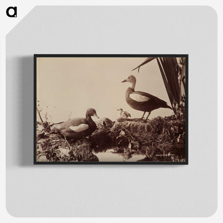 2-41_The-Burton-Brothers_blk-crop