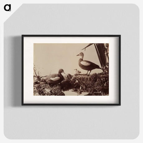 2-41_The-Burton-Brothers_blk