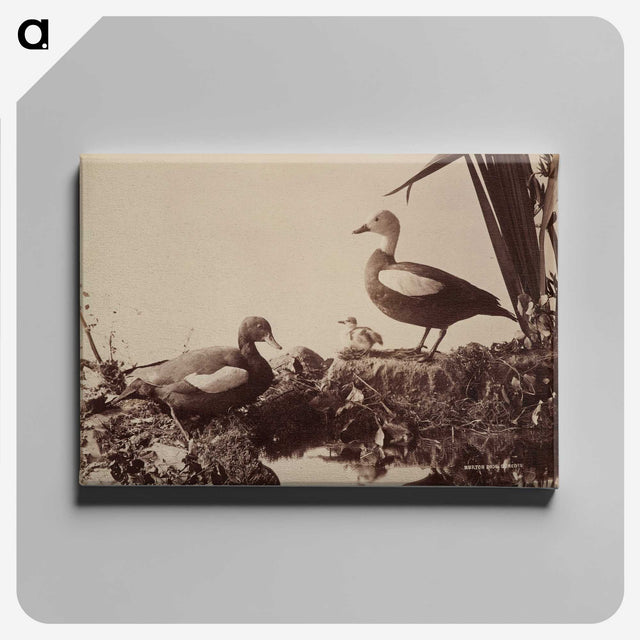 2-41_The-Burton-Brothers_canvas