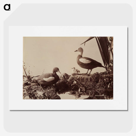 2-41_The-Burton-Brothers_picture