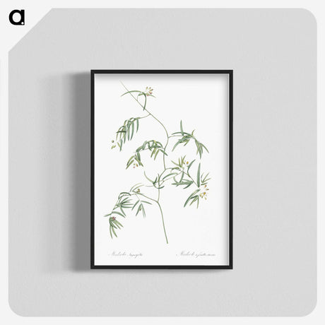 2-41_The-Lilies_blk-crop
