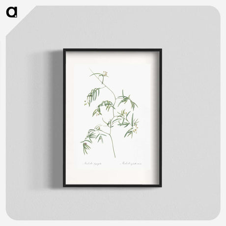 2-41_The-Lilies_blk