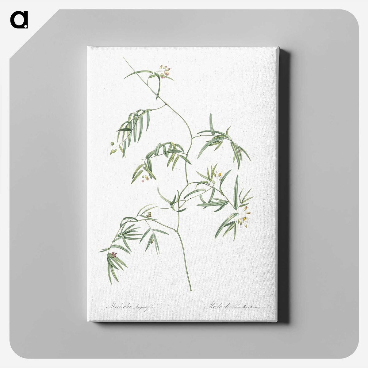 2-41_The-Lilies_canvas