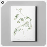 2-41_The-Lilies_canvas