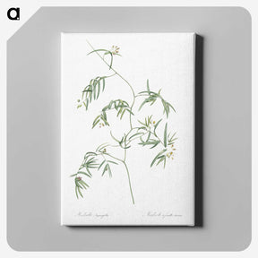 2-41_The-Lilies_canvas