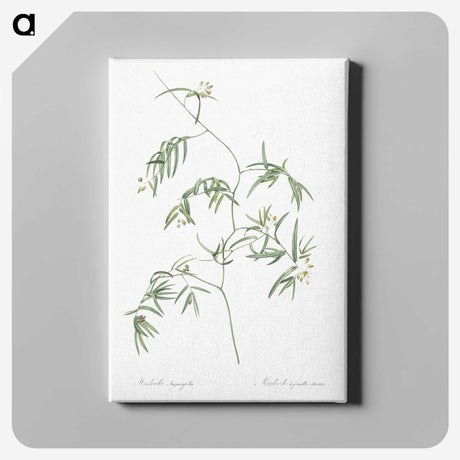 2-41_The-Lilies_canvas