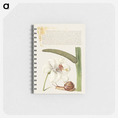 アートメモ帳-Madonna Lily, Terrestrial Mollusk, and Sweet Flag
 - 書道のお手本 Memo.