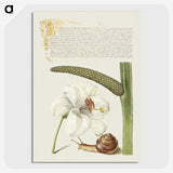 2-41_The-Model-Book-of-Calligraphy_picture-crop
