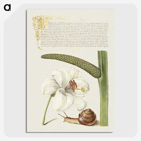 2-41_The-Model-Book-of-Calligraphy_picture-crop