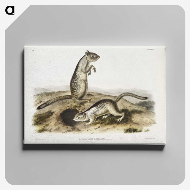 2-41_The-Viviparous-Quadrupeds_canvas