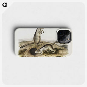2-41_The-Viviparous-Quadrupeds_phone
