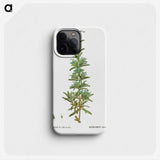 2-41_Treatise-on-Trees-and-Shrubs_phone
