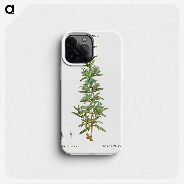 2-41_Treatise-on-Trees-and-Shrubs_phone