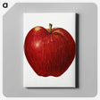 2-41_USDA-Watercolor-Fruit-Painting-Collection_canvas